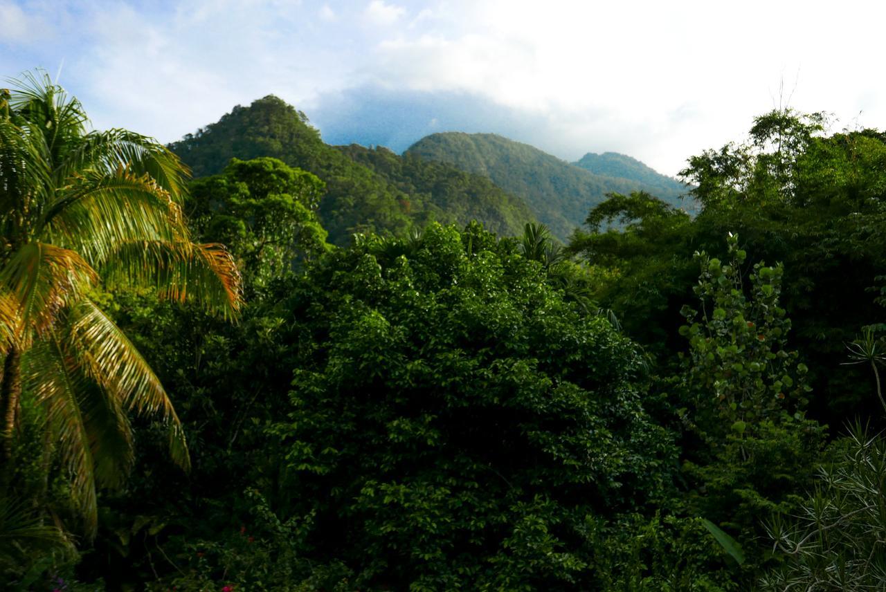 Omega Tours Eco-Jungle Lodge Ла-Сейба Экстерьер фото