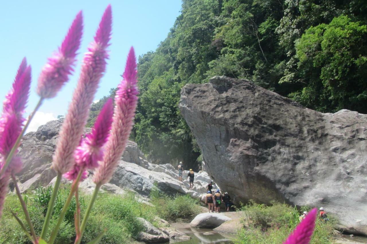 Omega Tours Eco-Jungle Lodge Ла-Сейба Экстерьер фото
